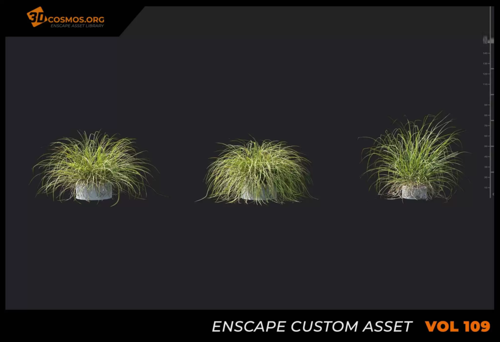 MT-PM-V109-Carex-elata-01-07-09