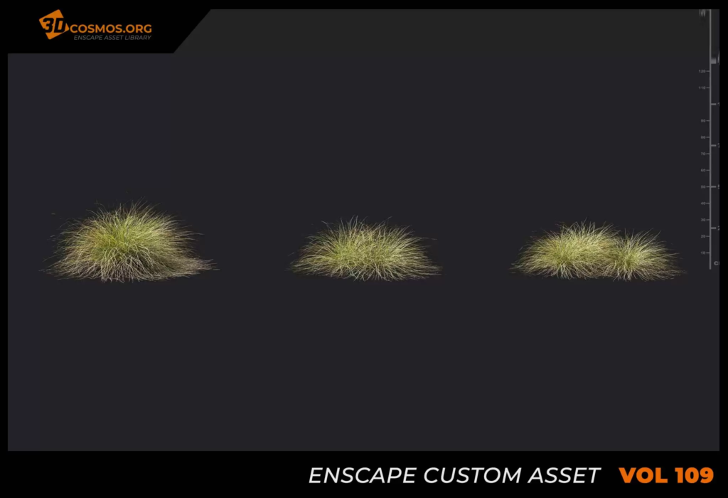 MT-PM-V109-Deschampsia-cespitosa-01-01-03