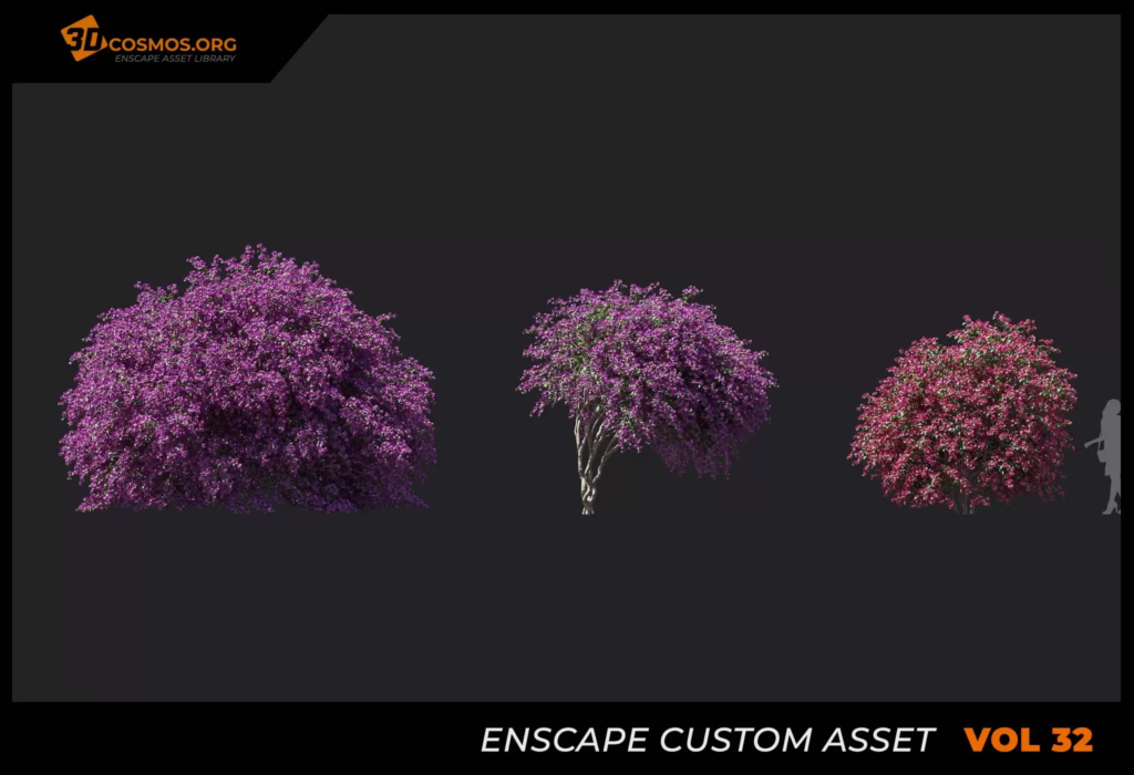 MT-PM-V32-Bougainvillea-01-01-03