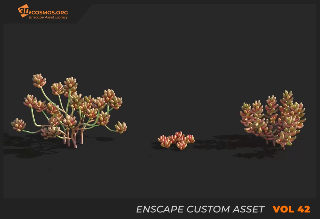MT-PM-V42-Sedum-rubrotinctum-01-04-06