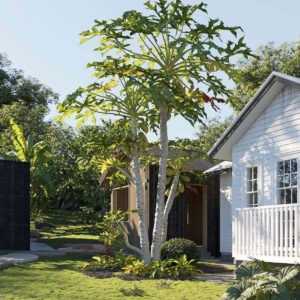 MT-PM-V99-Scene-C1 copy