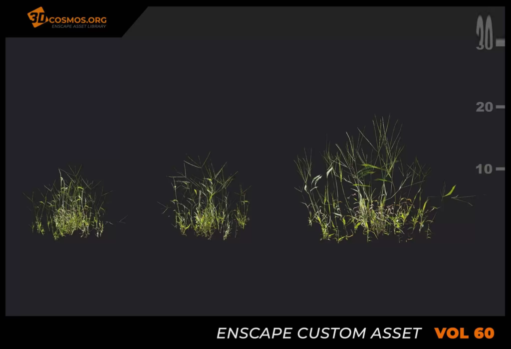MT_PM_V60_Digitaria_sanguinalis_01_04-06 (1)