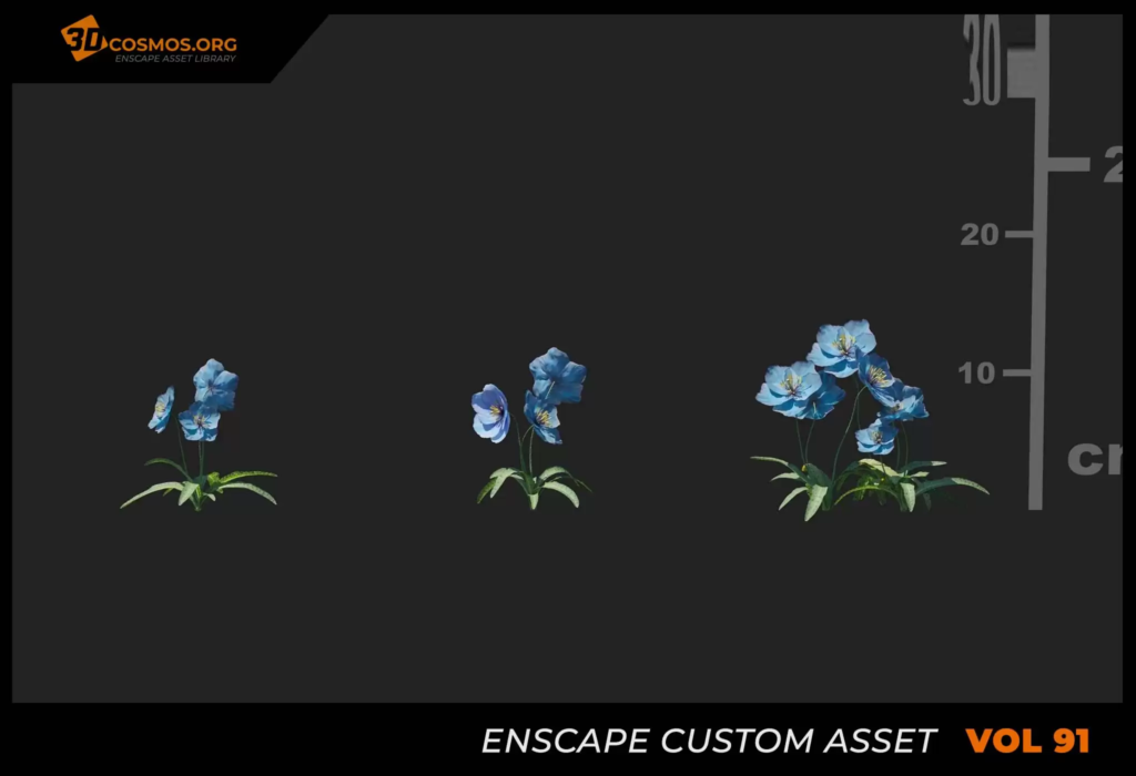 MT_PM_V91_Meconopsis_florindae_01_01-03