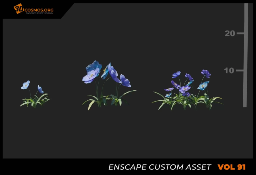 MT_PM_V91_Meconopsis_florindae_01_04-06