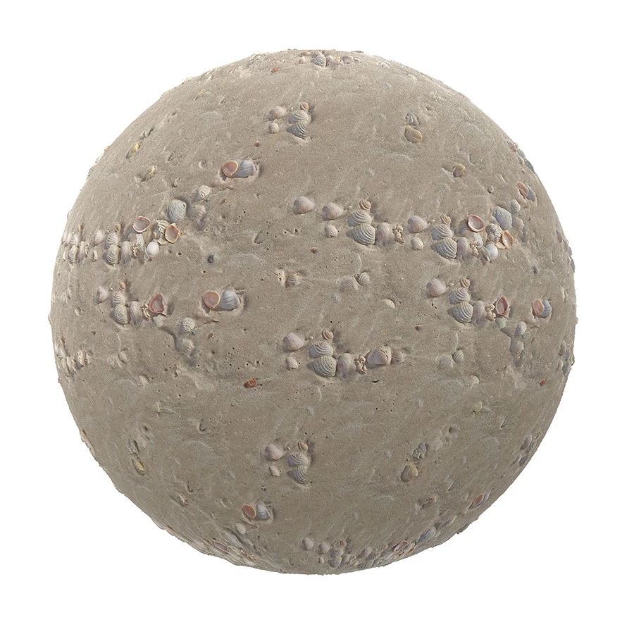 sand_with_shells_render